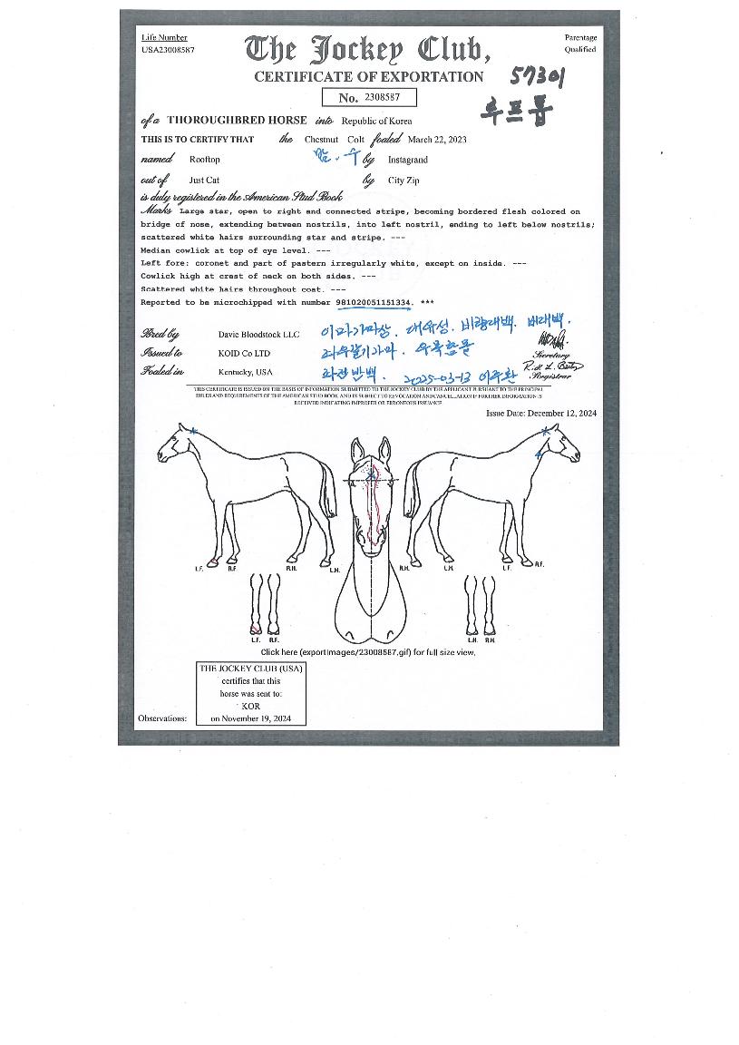 �������� ����,���,�޸�,�λ�,�ٸ��� Ư¡����