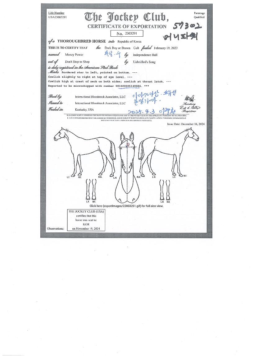 �Ӵ��Ŀ��� ����,���,�޸�,�λ�,�ٸ��� Ư¡����