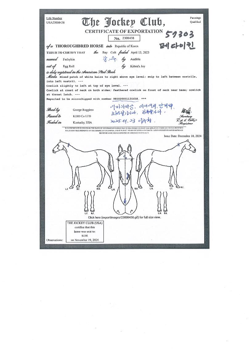 Æä´ÙÀÌŲÀÇ Ãø¸é,¿ì¸é,µÞ¸é,µÎ»ó,´Ù¸®ÀÇ Æ¯Â¡µµÇØ