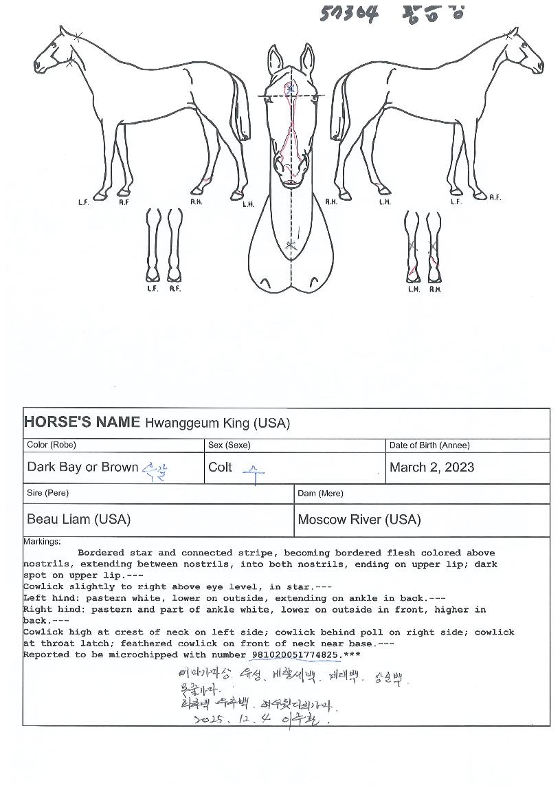 Ȳ��ŷ�� ����,���,�޸�,�λ�,�ٸ��� Ư¡����