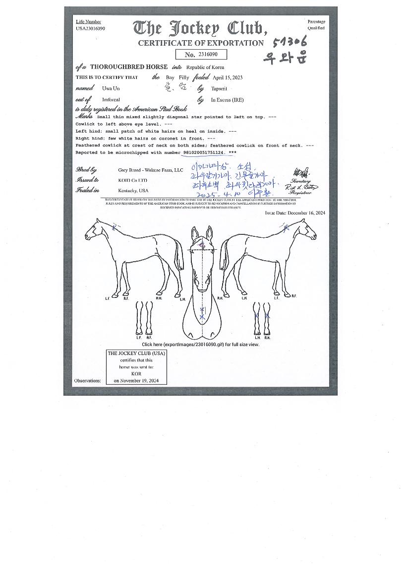 ��Ϳ��� ����,���,�޸�,�λ�,�ٸ��� Ư¡����