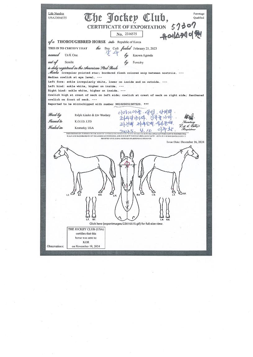 ���������̿��� ����,���,�޸�,�λ�,�ٸ��� Ư¡����