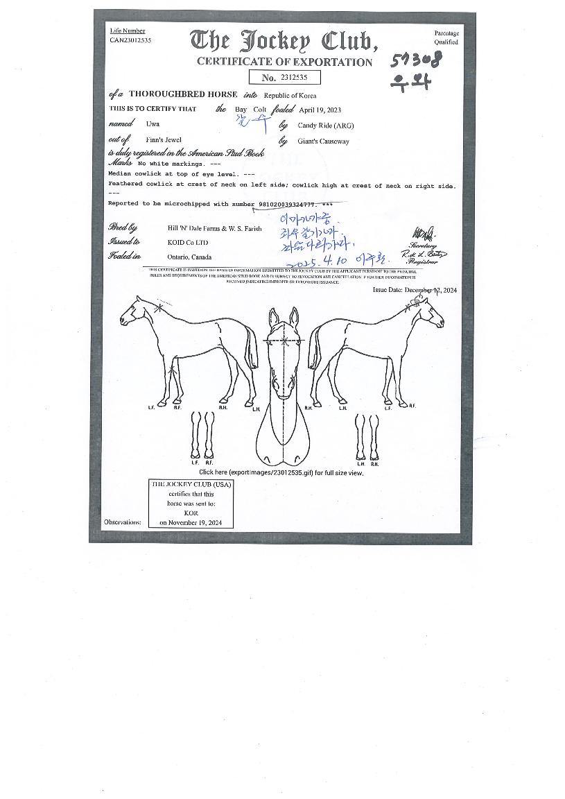 ����� ����,���,�޸�,�λ�,�ٸ��� Ư¡����