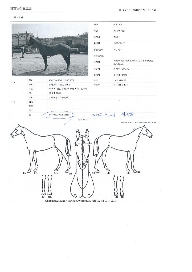 ÄÉÀÌ¿£ºò¹ðÀÇ Ãø¸é,¿ì¸é,µÞ¸é,µÎ»ó,´Ù¸®ÀÇ Æ¯Â¡µµÇØ