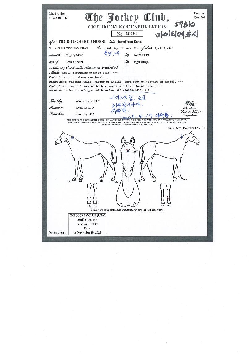 ����Ƽ�޸����� ����,���,�޸�,�λ�,�ٸ��� Ư¡����