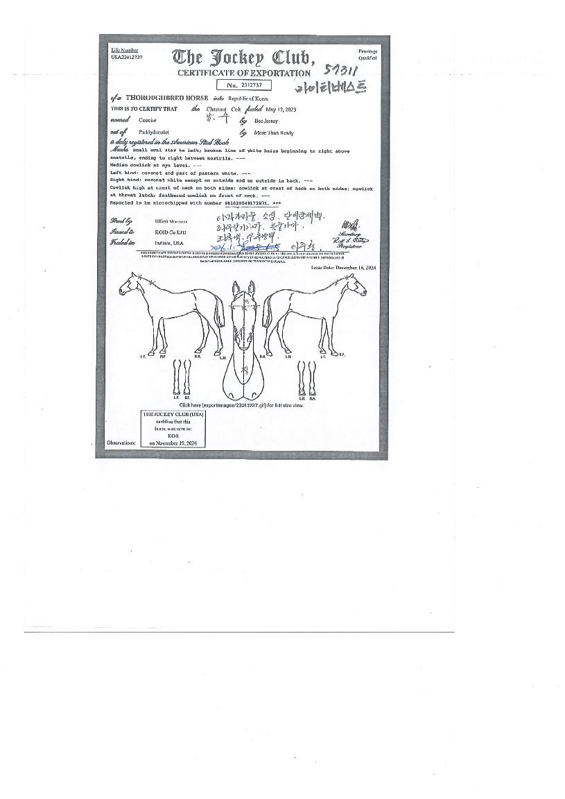 ¸¶ÀÌÆ¼º£½ºÆ®ÀÇ Ãø¸é,¿ì¸é,µÞ¸é,µÎ»ó,´Ù¸®ÀÇ Æ¯Â¡µµÇØ