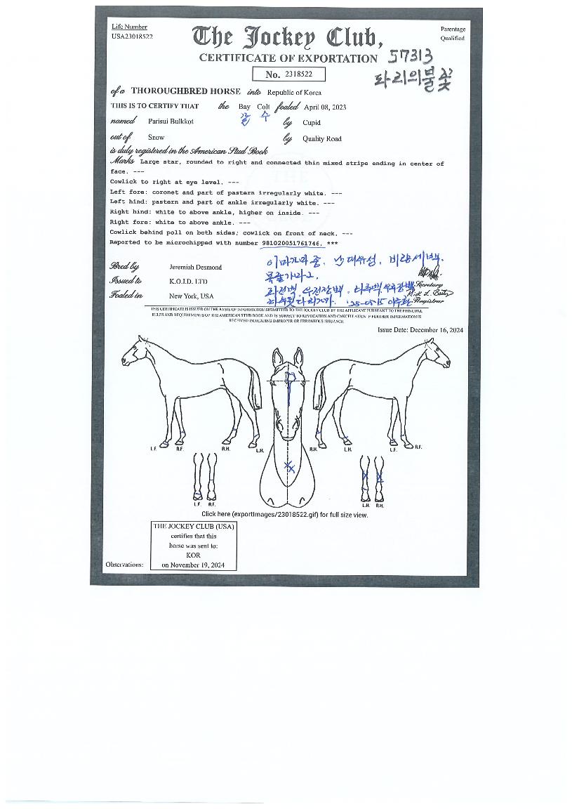 �ĸ��ǺҲ��� ����,���,�޸�,�λ�,�ٸ��� Ư¡����