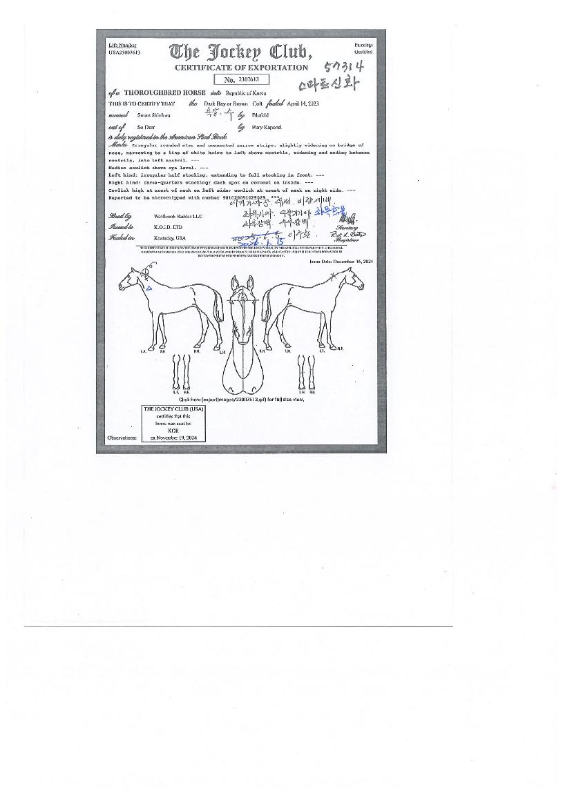 ����Ʈ��ȭ�� ����,���,�޸�,�λ�,�ٸ��� Ư¡����