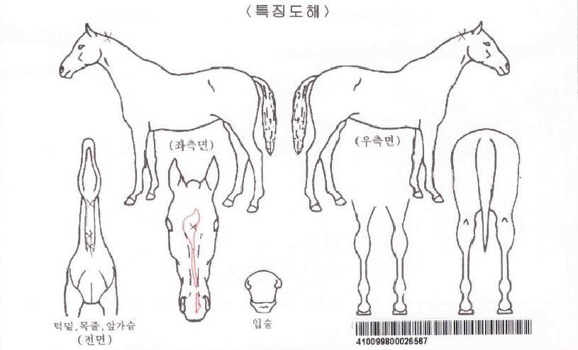 �Ѷ������ڸ��� ����,���,�޸�,�λ�,�ٸ��� Ư¡����