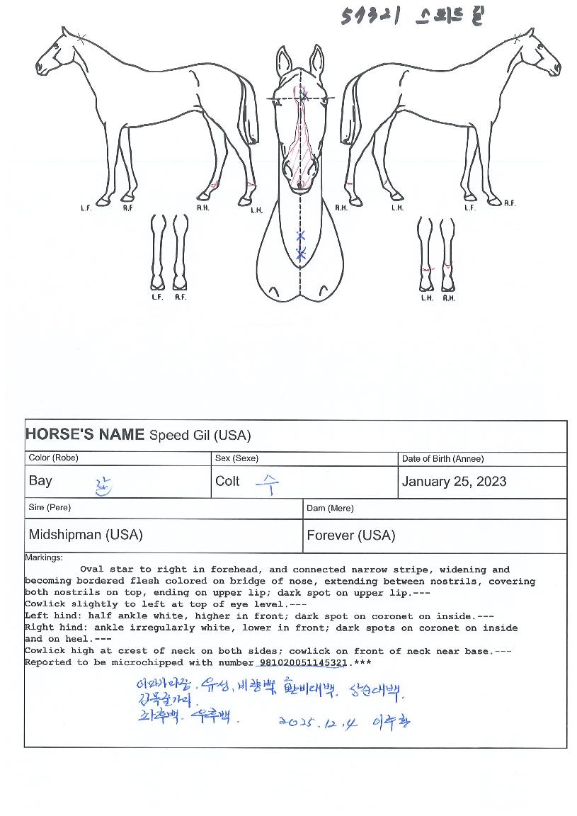½ºÇÇµå±æÀÇ Ãø¸é,¿ì¸é,µÞ¸é,µÎ»ó,´Ù¸®ÀÇ Æ¯Â¡µµÇØ