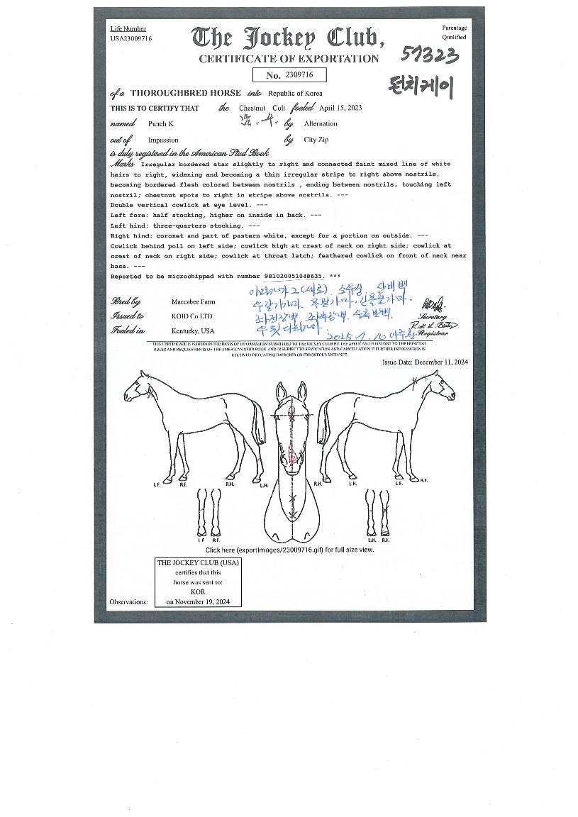 ÆÝÄ¡ÄÉÀÌÀÇ Ãø¸é,¿ì¸é,µÞ¸é,µÎ»ó,´Ù¸®ÀÇ Æ¯Â¡µµÇØ