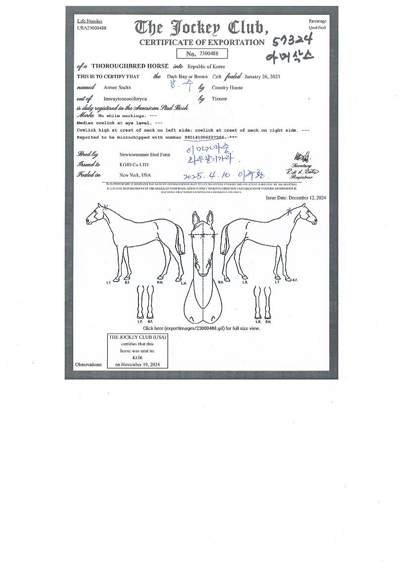 ¾Æ¸Ó»è½ºÀÇ Ãø¸é,¿ì¸é,µÞ¸é,µÎ»ó,´Ù¸®ÀÇ Æ¯Â¡µµÇØ