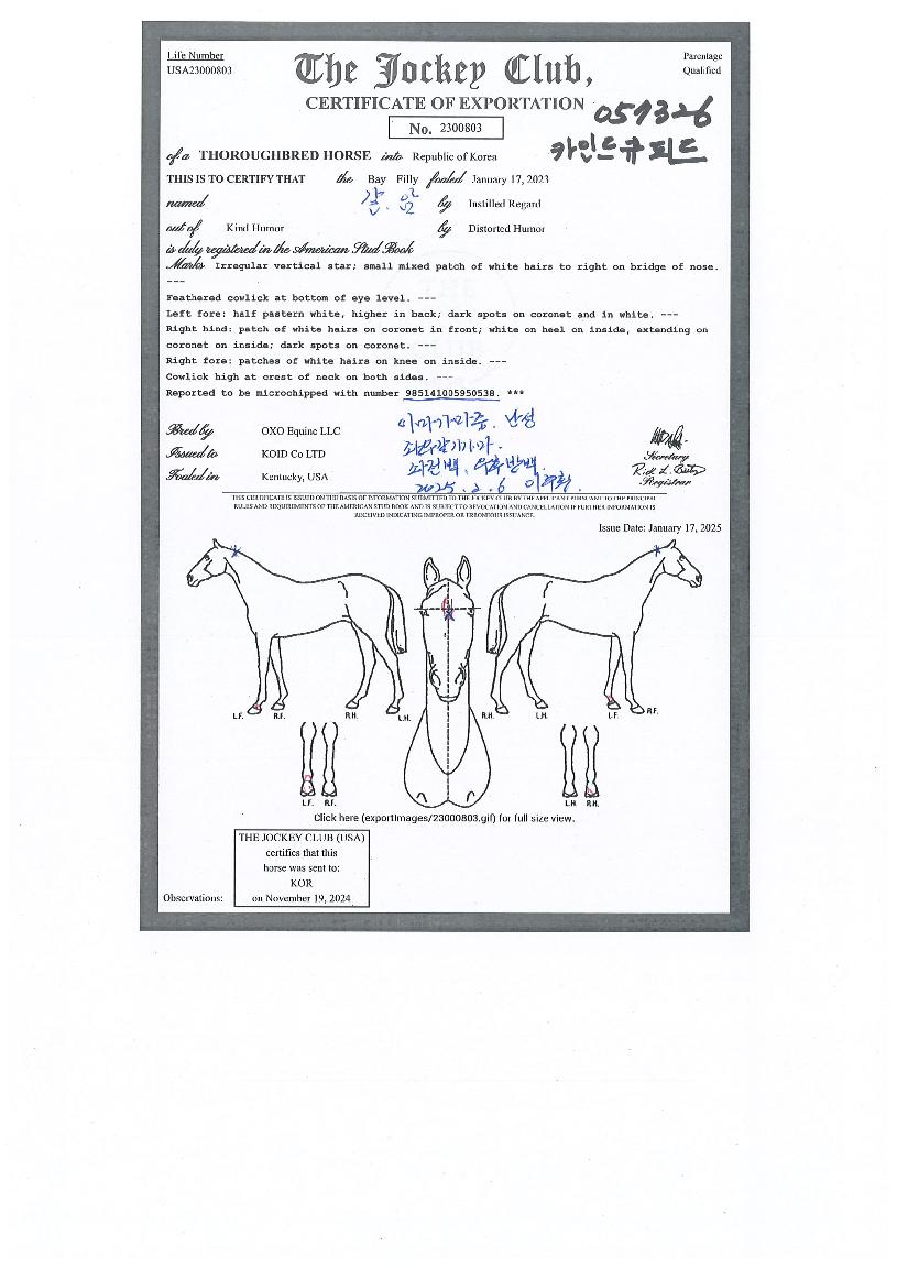 ī�ε�ť�ǵ��� ����,���,�޸�,�λ�,�ٸ��� Ư¡����