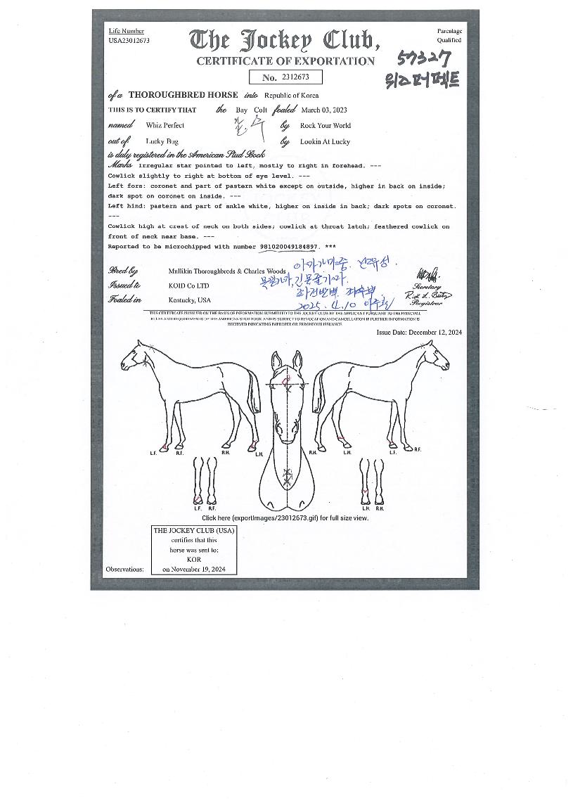 ��������Ʈ�� ����,���,�޸�,�λ�,�ٸ��� Ư¡����