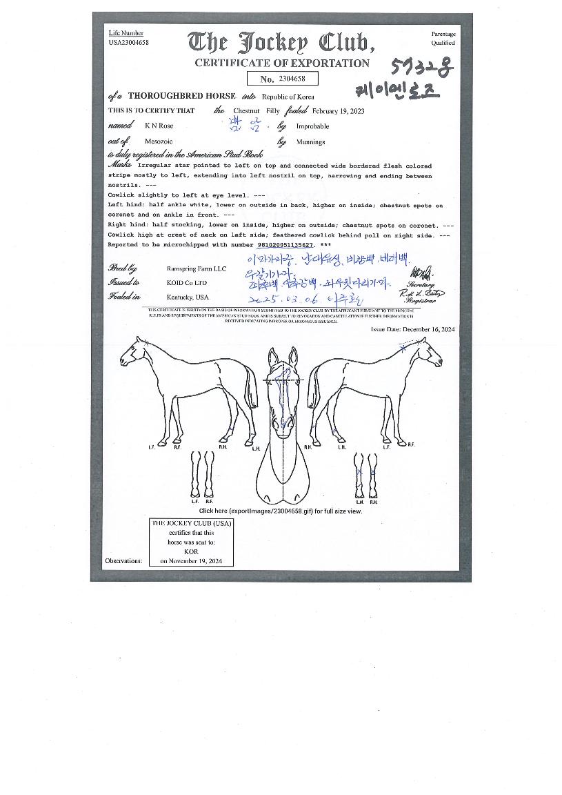 ���̿������� ����,���,�޸�,�λ�,�ٸ��� Ư¡����