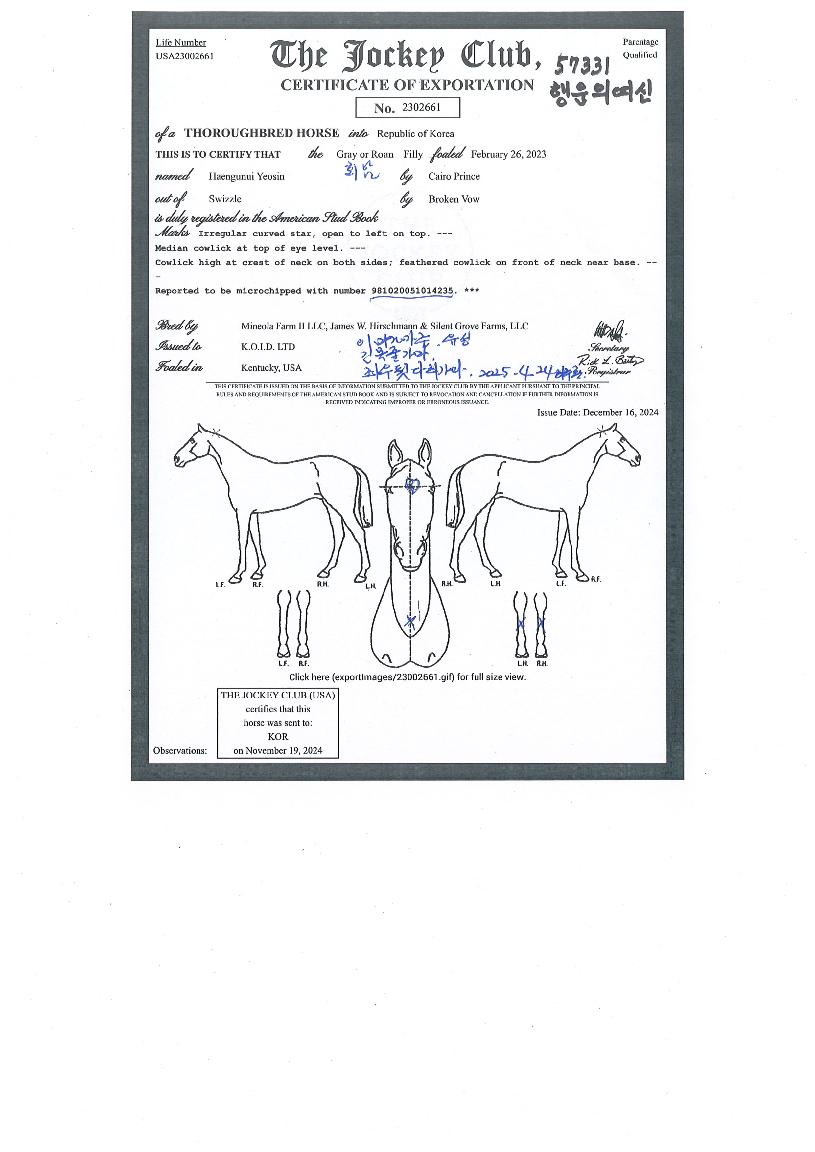 ����ǿ����� ����,���,�޸�,�λ�,�ٸ��� Ư¡����