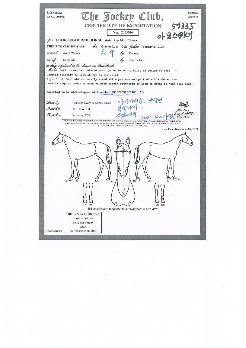 �Ƹ������� ����,���,�޸�,�λ�,�ٸ��� Ư¡����