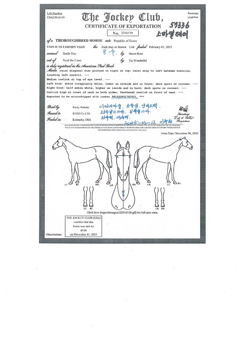 �����ϵ����� ����,���,�޸�,�λ�,�ٸ��� Ư¡����