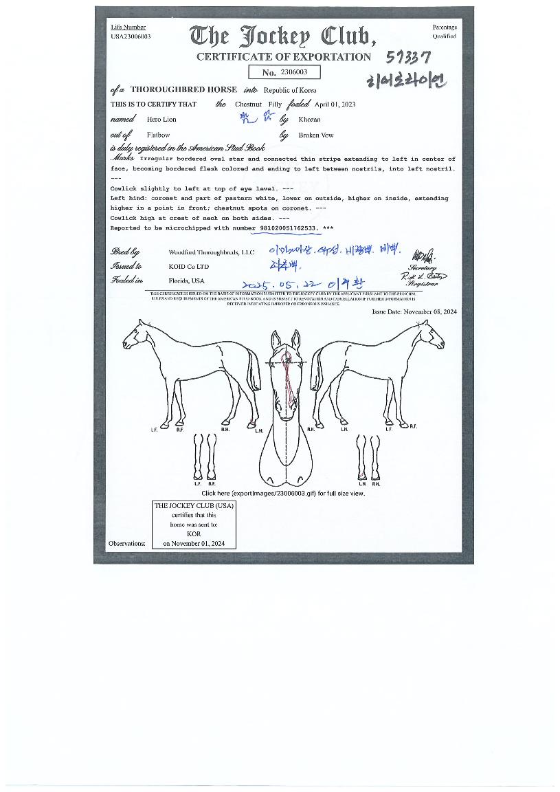 È÷¾î·Î¶óÀ̾ðÀÇ Ãø¸é,¿ì¸é,µÞ¸é,µÎ»ó,´Ù¸®ÀÇ Æ¯Â¡µµÇØ