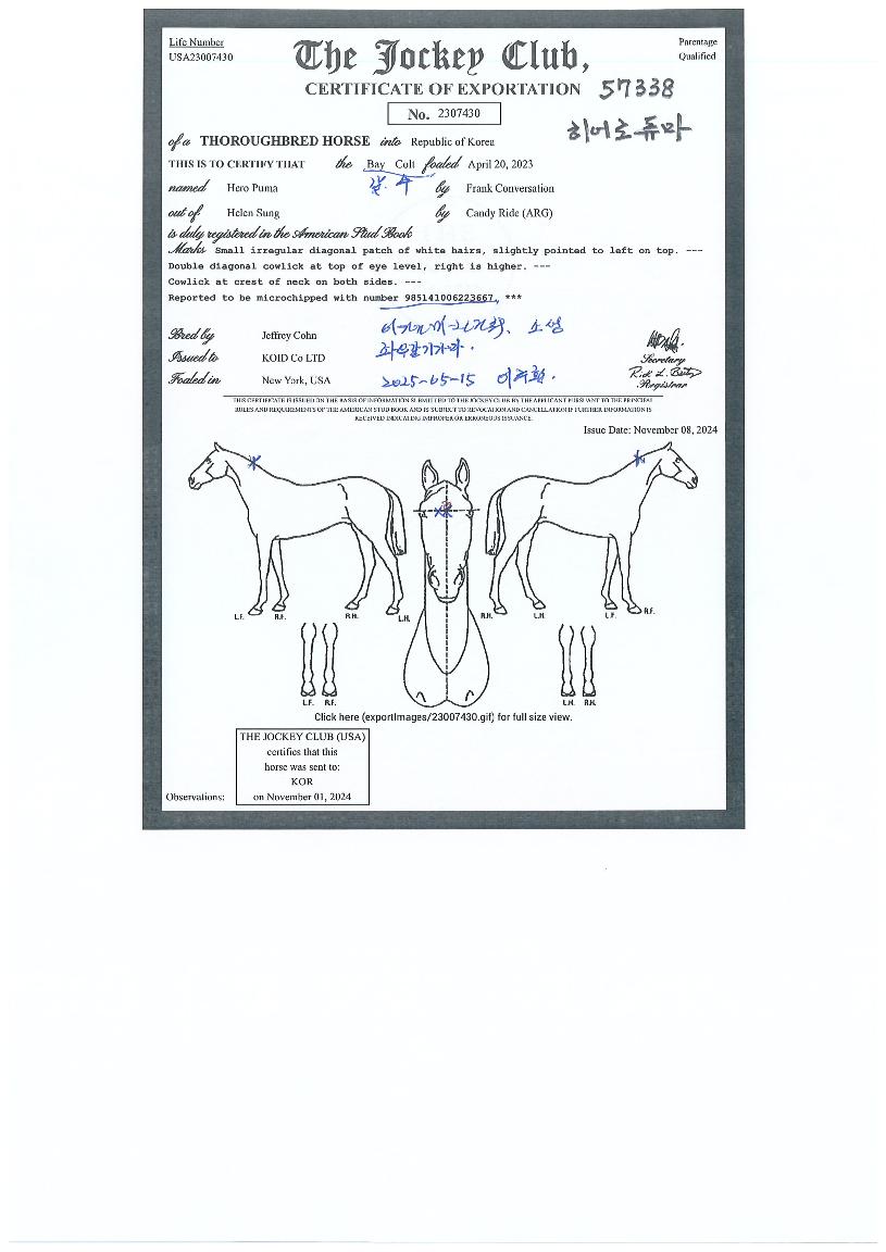 È÷¾î·ÎÇ»¸¶ÀÇ Ãø¸é,¿ì¸é,µÞ¸é,µÎ»ó,´Ù¸®ÀÇ Æ¯Â¡µµÇØ