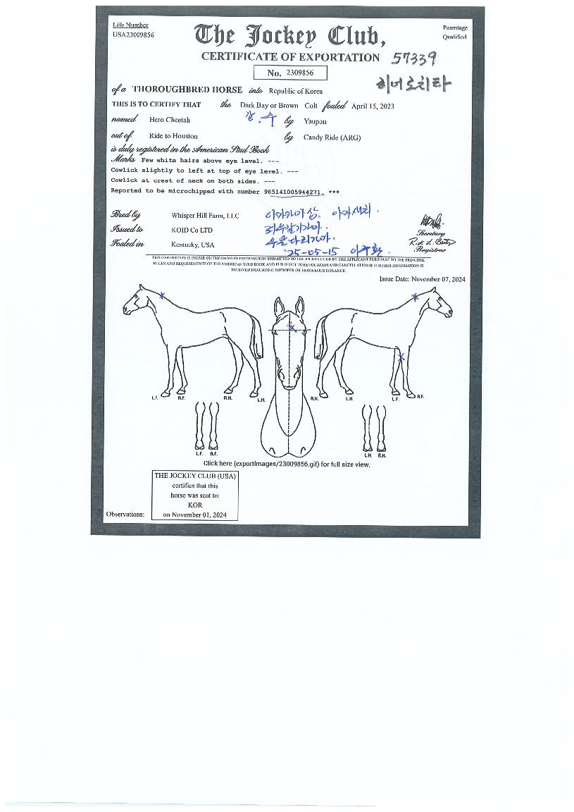 �����ġŸ�� ����,���,�޸�,�λ�,�ٸ��� Ư¡����