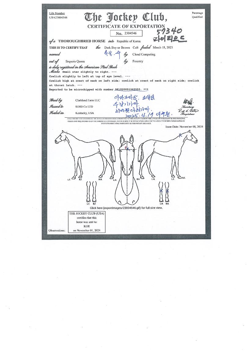 ¸¶ÀÌÆ¼ÄÚµåÀÇ Ãø¸é,¿ì¸é,µÞ¸é,µÎ»ó,´Ù¸®ÀÇ Æ¯Â¡µµÇØ