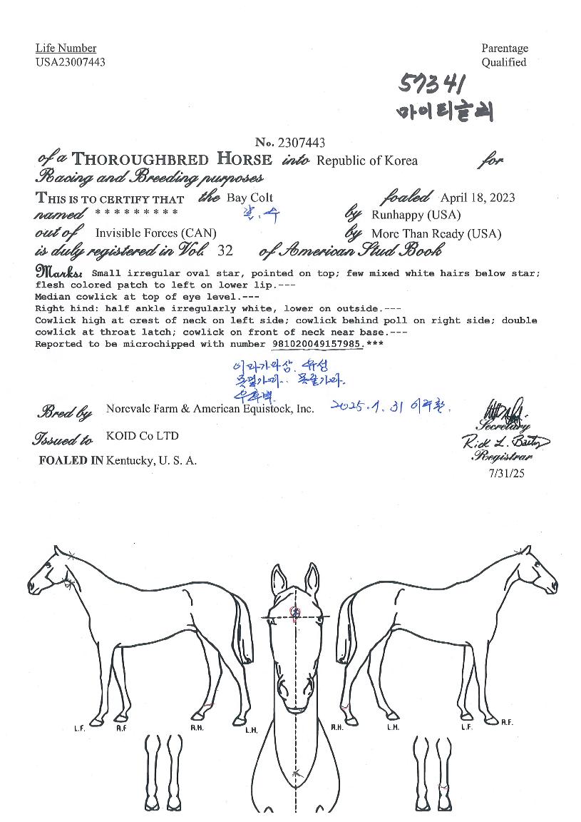 ����Ƽ�۸��� ����,���,�޸�,�λ�,�ٸ��� Ư¡����