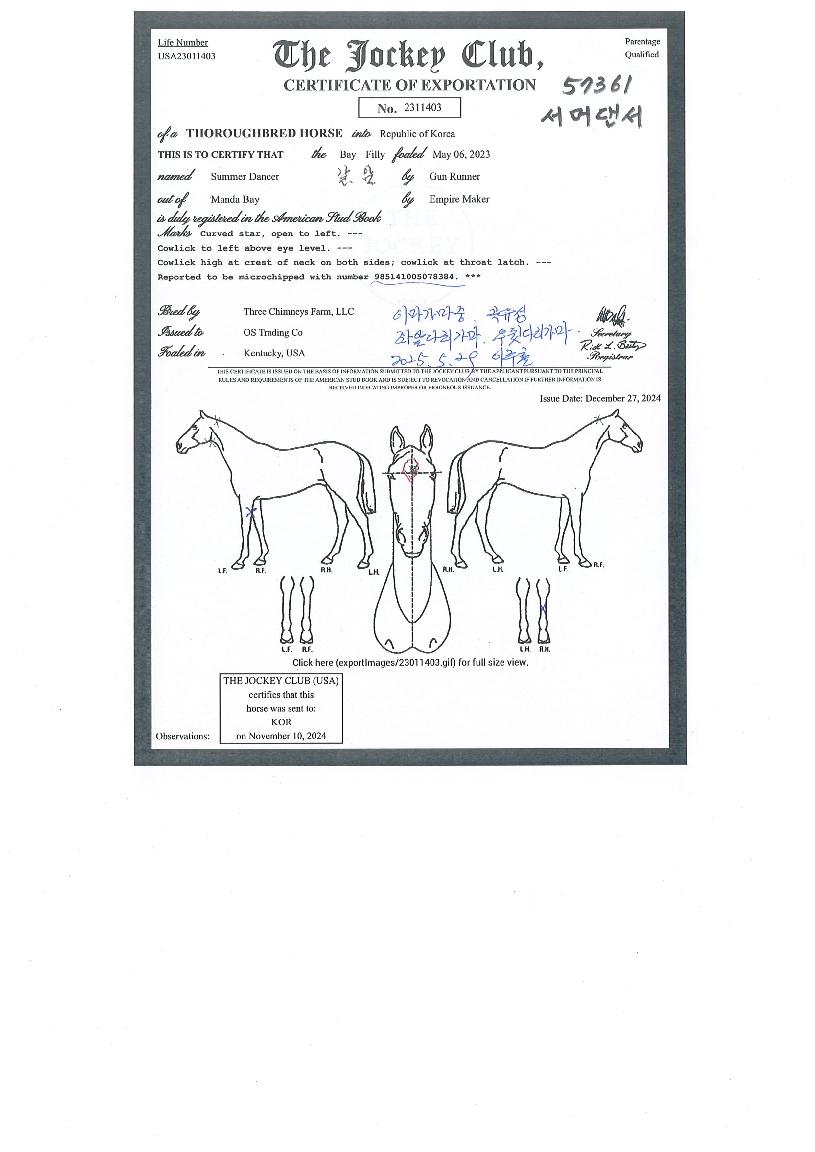 ¼¸Ó´í¼ÀÇ Ãø¸é,¿ì¸é,µÞ¸é,µÎ»ó,´Ù¸®ÀÇ Æ¯Â¡µµÇØ