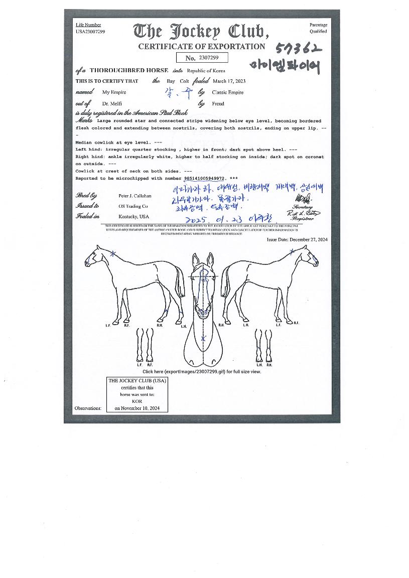 ���̿����̾��� ����,���,�޸�,�λ�,�ٸ��� Ư¡����