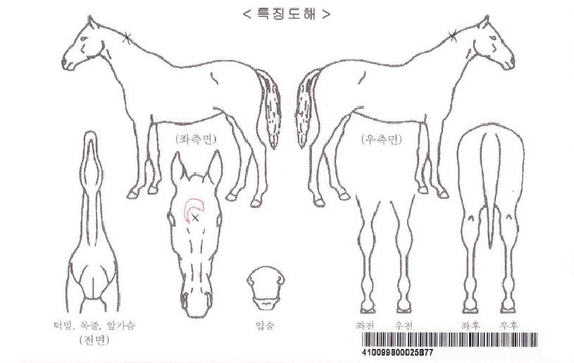 ����ص�ҿ��� ����,���,�޸�,�λ�,�ٸ��� Ư¡����