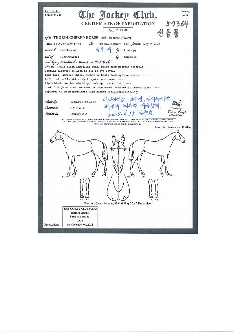 ¼±µ¹Ç³ÀÇ Ãø¸é,¿ì¸é,µÞ¸é,µÎ»ó,´Ù¸®ÀÇ Æ¯Â¡µµÇØ