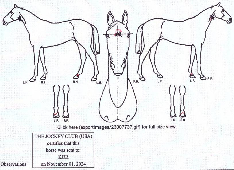 ÆøÇ³ÀÇ Ãø¸é,¿ì¸é,µÞ¸é,µÎ»ó,´Ù¸®ÀÇ Æ¯Â¡µµÇØ