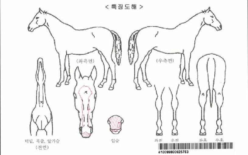 ÈÀÌÆ®À̱ÛÀÚ¸¶ÀÇ Ãø¸é,¿ì¸é,µÞ¸é,µÎ»ó,´Ù¸®ÀÇ Æ¯Â¡µµÇØ