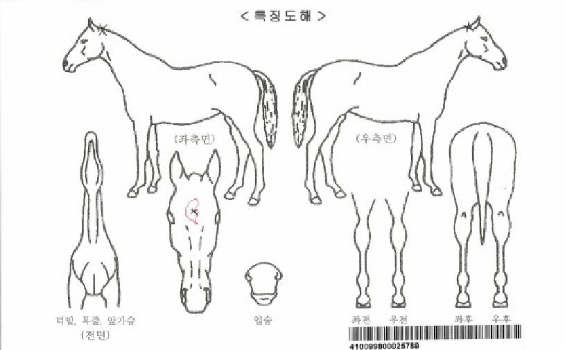 ÆÐÀüÆ®¸®ÀÚ¸¶ÀÇ Ãø¸é,¿ì¸é,µÞ¸é,µÎ»ó,´Ù¸®ÀÇ Æ¯Â¡µµÇØ