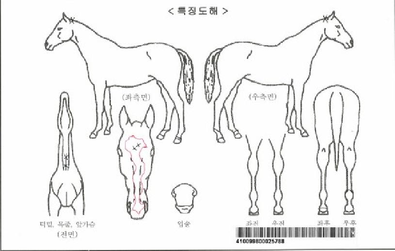 ¸ÞÀΟÀ̰ÅÀÇ Ãø¸é,¿ì¸é,µÞ¸é,µÎ»ó,´Ù¸®ÀÇ Æ¯Â¡µµÇØ