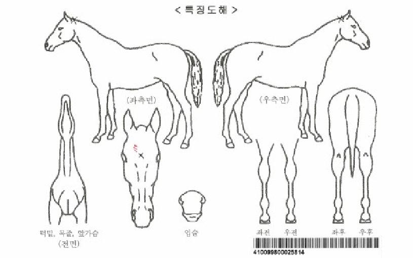 º¸¹èµå¸²ÀÚ¸¶ÀÇ Ãø¸é,¿ì¸é,µÞ¸é,µÎ»ó,´Ù¸®ÀÇ Æ¯Â¡µµÇØ