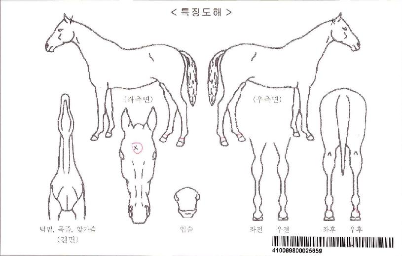 �˷���ڸ��� ����,���,�޸�,�λ�,�ٸ��� Ư¡����