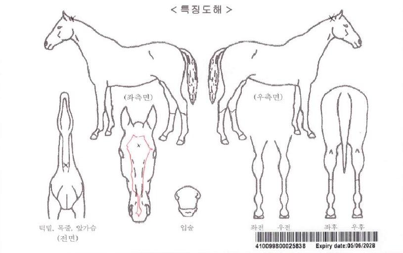 À屺ÀÇÈÄ¿¹ÀÚ¸¶ÀÇ Ãø¸é,¿ì¸é,µÞ¸é,µÎ»ó,´Ù¸®ÀÇ Æ¯Â¡µµÇØ