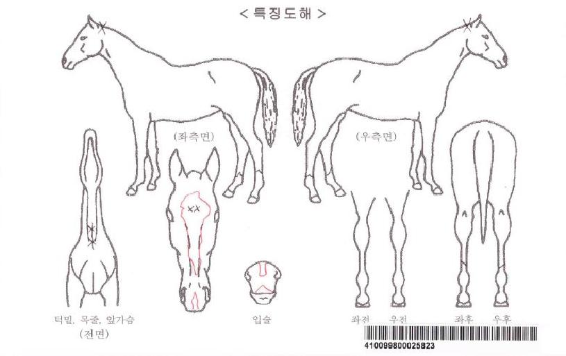 ��Ÿ��ƽ����� ����,���,�޸�,�λ�,�ٸ��� Ư¡����