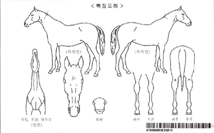 ������������Ʈ�� ����,���,�޸�,�λ�,�ٸ��� Ư¡����