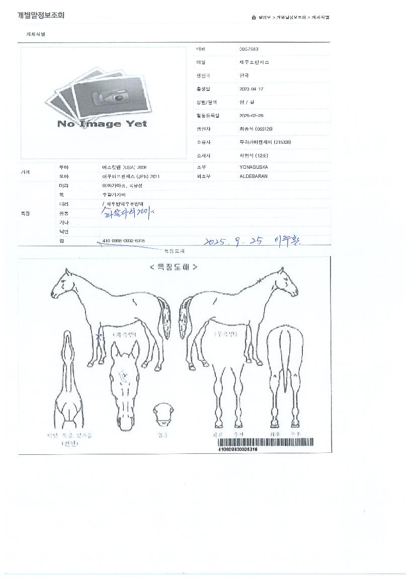 �������������� ����,���,�޸�,�λ�,�ٸ��� Ư¡����