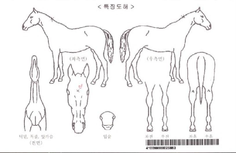 �ε���Ŭ������ ����,���,�޸�,�λ�,�ٸ��� Ư¡����