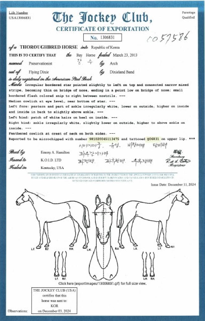 ���������̼ŴϽ��� ����,���,�޸�,�λ�,�ٸ��� Ư¡����