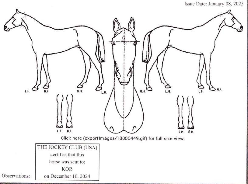 ���̵��� ����,���,�޸�,�λ�,�ٸ��� Ư¡����