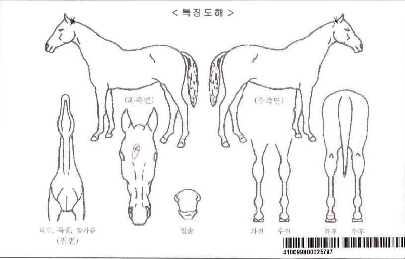 ����ĵ���ڸ��� ����,���,�޸�,�λ�,�ٸ��� Ư¡����