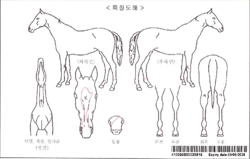 �׹��������� ����,���,�޸�,�λ�,�ٸ��� Ư¡����