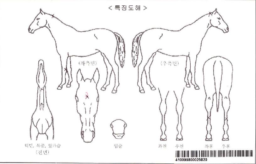 Á¦ÀÌ¿¡½ºµ¥ÀÌÀÚ¸¶ÀÇ Ãø¸é,¿ì¸é,µÞ¸é,µÎ»ó,´Ù¸®ÀÇ Æ¯Â¡µµÇØ