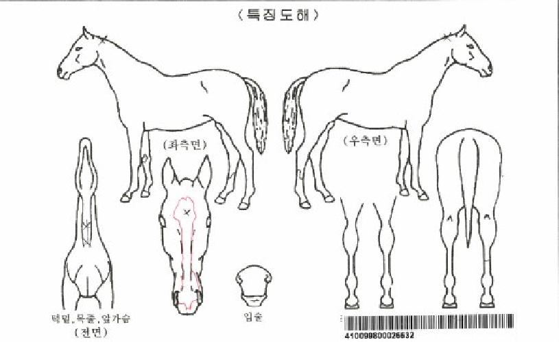 º¼µåÄýÀÚ¸¶ÀÇ Ãø¸é,¿ì¸é,µÞ¸é,µÎ»ó,´Ù¸®ÀÇ Æ¯Â¡µµÇØ