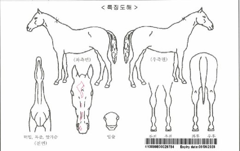 �ƿ������ڸ��� ����,���,�޸�,�λ�,�ٸ��� Ư¡����