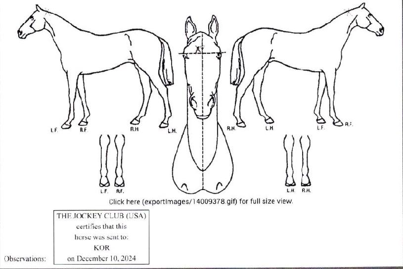 ½º¿ù¸µÀÇ Ãø¸é,¿ì¸é,µÞ¸é,µÎ»ó,´Ù¸®ÀÇ Æ¯Â¡µµÇØ